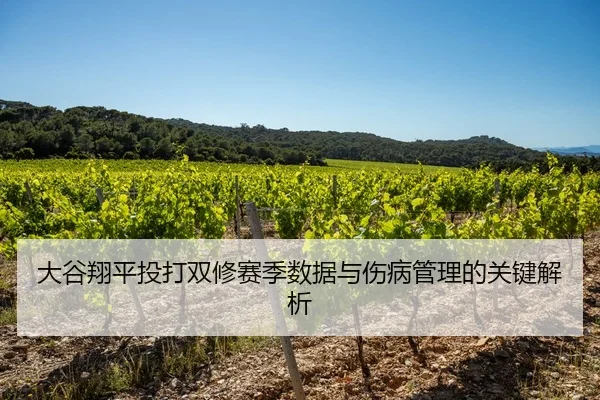 大谷翔平投打双修赛季数据与伤病管理的关键解析