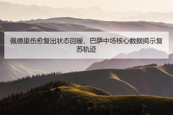 pei-de-li-shang-yu-fu-chu-zhuang-tai-hui-nuan-ba-sa-zhong-chang-he-xin-shu-ju-jie-shi-fu-su-gui-ji-2-574.jpg