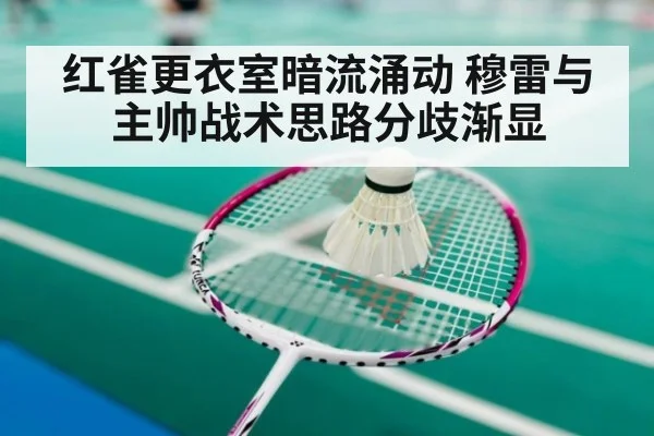 红雀更衣室暗流涌动 穆雷与主帅战术思路分歧渐显
